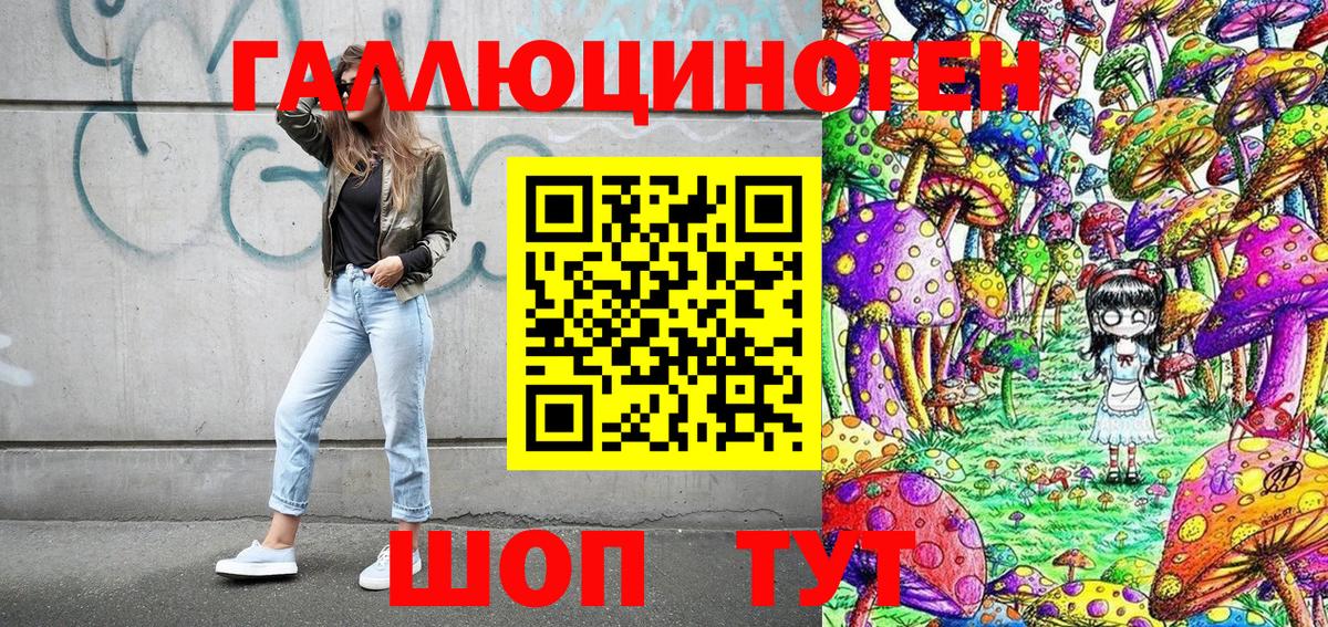 Галлюциногенные грибы Magic Shrooms  Вход с VPN  Псилоцибиновые грибы прущие грибы  наркошоп  Чернушка 